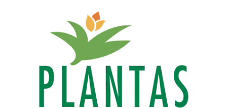 Plantas Group