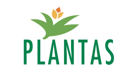 Plantas Group